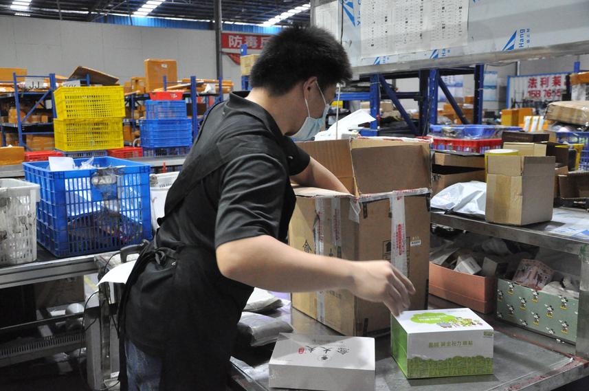 如何选择高效稳定的国际集运服务：价格、时效与赔付保障解析